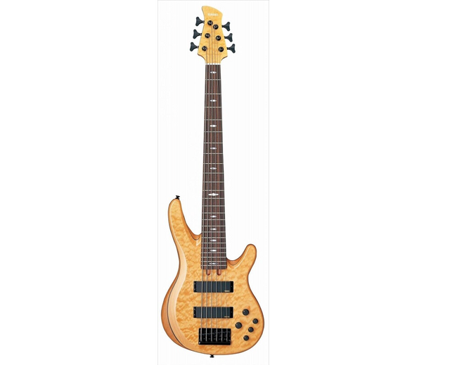 Bass Guitars