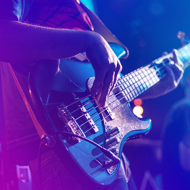 Electric Guitar Collection